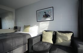 One Bedroom Apartment